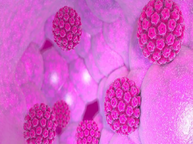 آیا ویروس HPV از راه هایی غیر از برقراری رابطه جنسی نیز منتقل می شود؟