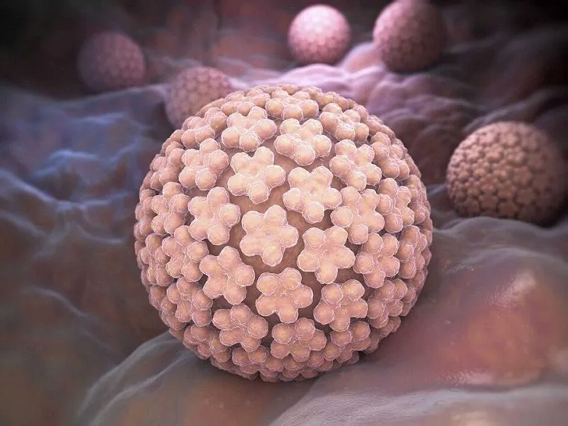 آیا ویروس HPV از راه هایی غیر از برقراری رابطه جنسی نیز منتقل می شود؟