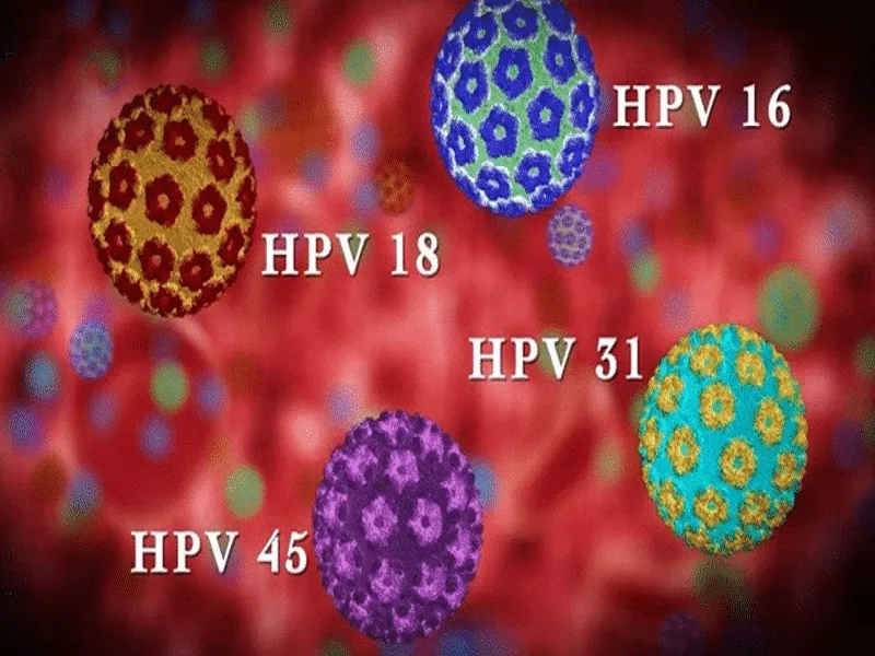 تفاوت های ویروس HPV تایپ ۱۶ و ۱۸ در چیست؟